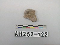 藏品(灰色夾砂陶口緣)的圖片